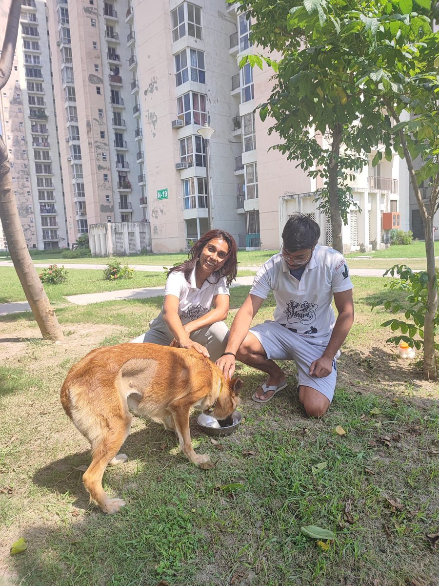 tarana2510's tweet image. Feeding #CommunityDogs makes friends with Man’s Best Friend #JaypeeAman 
Sterilized and Vaccinated over 150 dogs that we made friends via feeding, in past 3 years