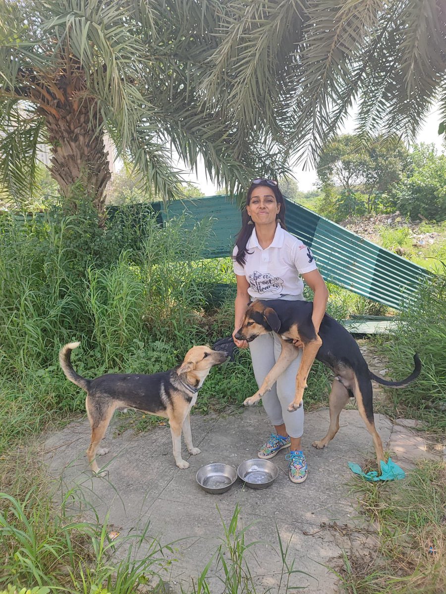 tarana2510's tweet image. Feeding #CommunityDogs makes friends with Man’s Best Friend #JaypeeAman 
Sterilized and Vaccinated over 150 dogs that we made friends via feeding, in past 3 years