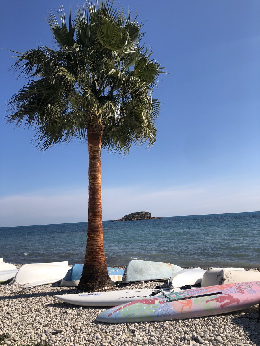 Goedemorgen allemaal! Alvast goed weekend 🎉