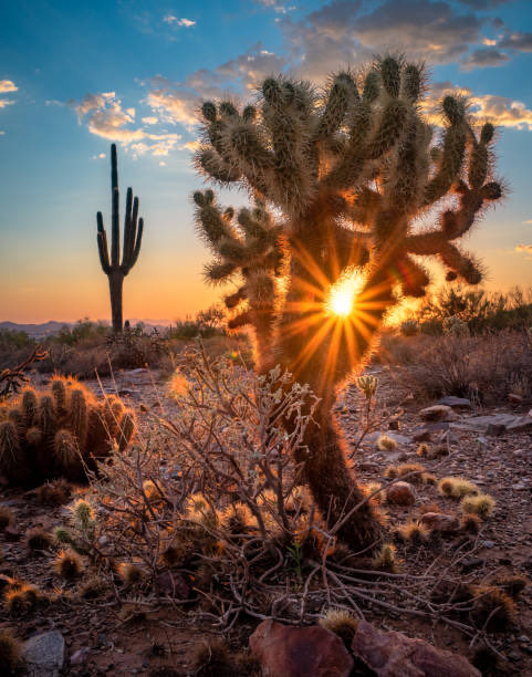 Lex Luger tweet media