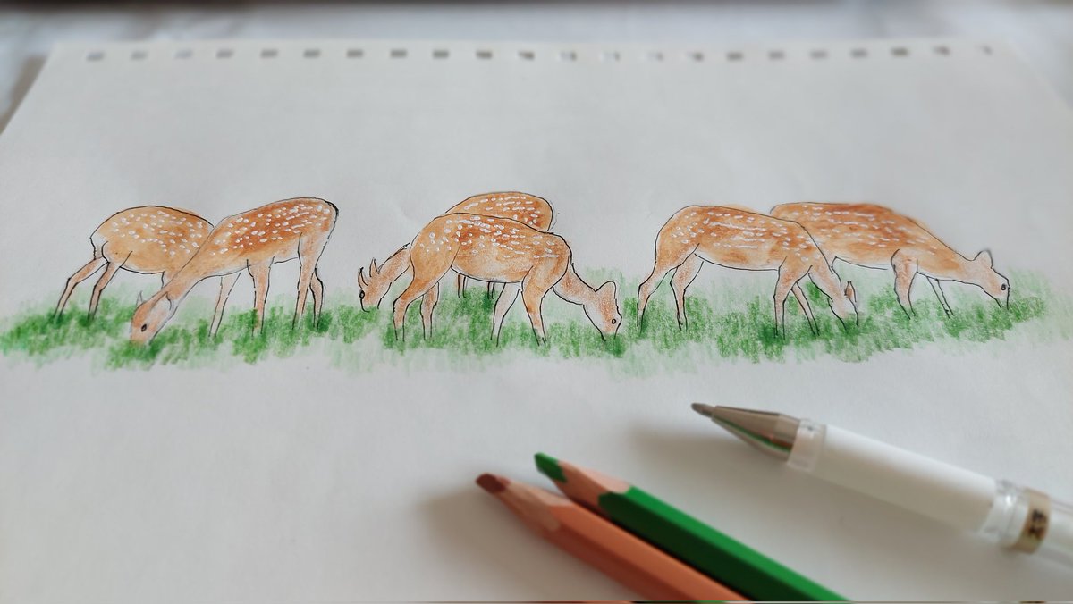 EmilyChu_Owl's tweet photo. 墾丁的回憶
#梅花鹿 #自然筆記 #墾丁 #naturedrawing #naturesketch #naturejournal #sikadeer https://t.co/Pt2Uhdfb1u
