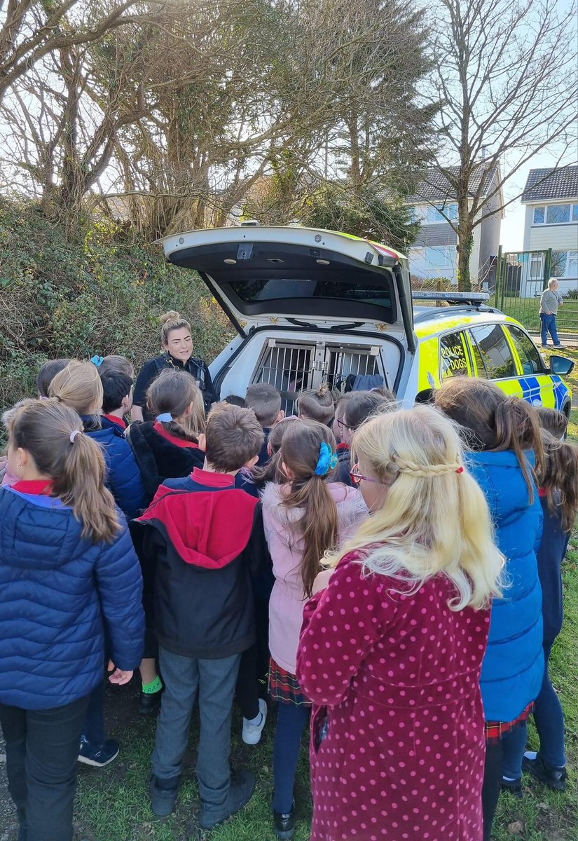 Bodmin Police tweet media