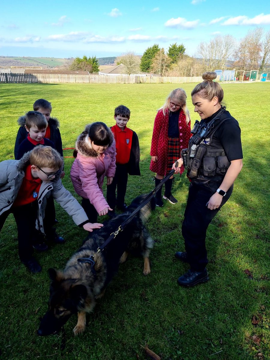Bodmin Police tweet media