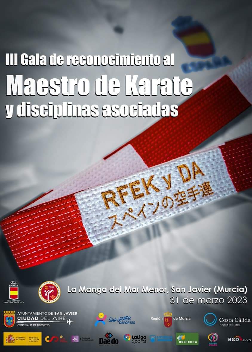 Fede Canaria Karate tweet media