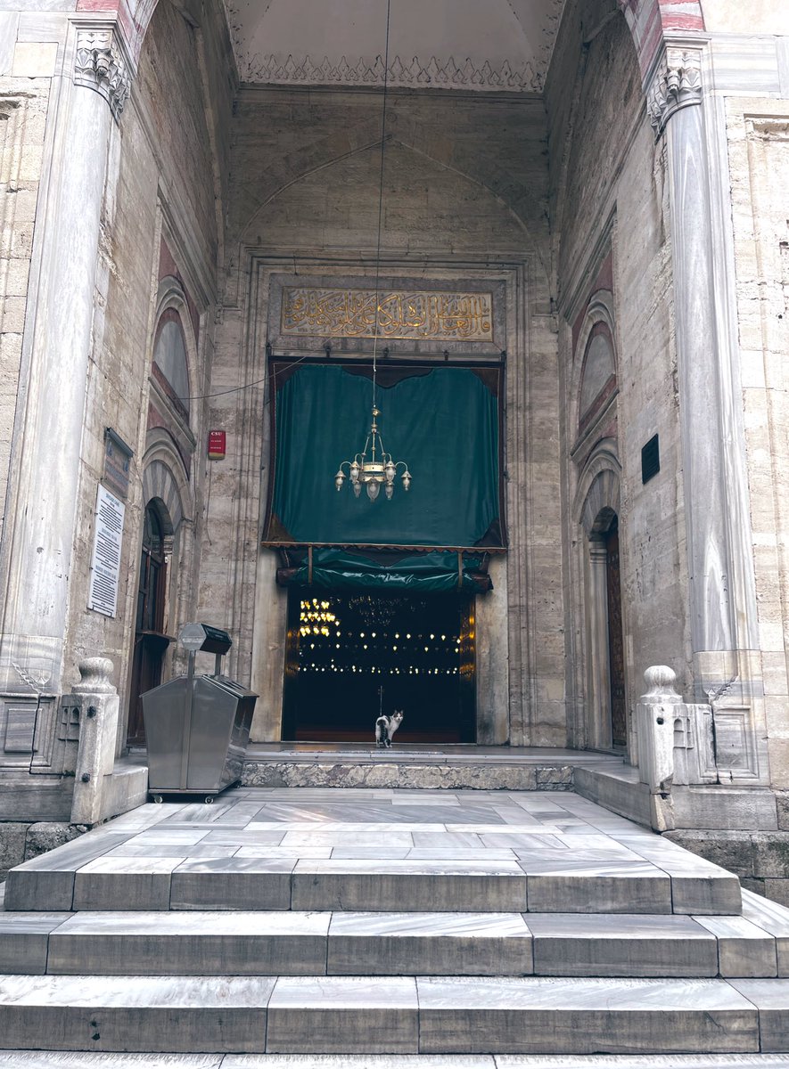 "Gel" dedi, içerisi çok güzel.,
"Gel" dedik, dışarısını da edelim güzel..,