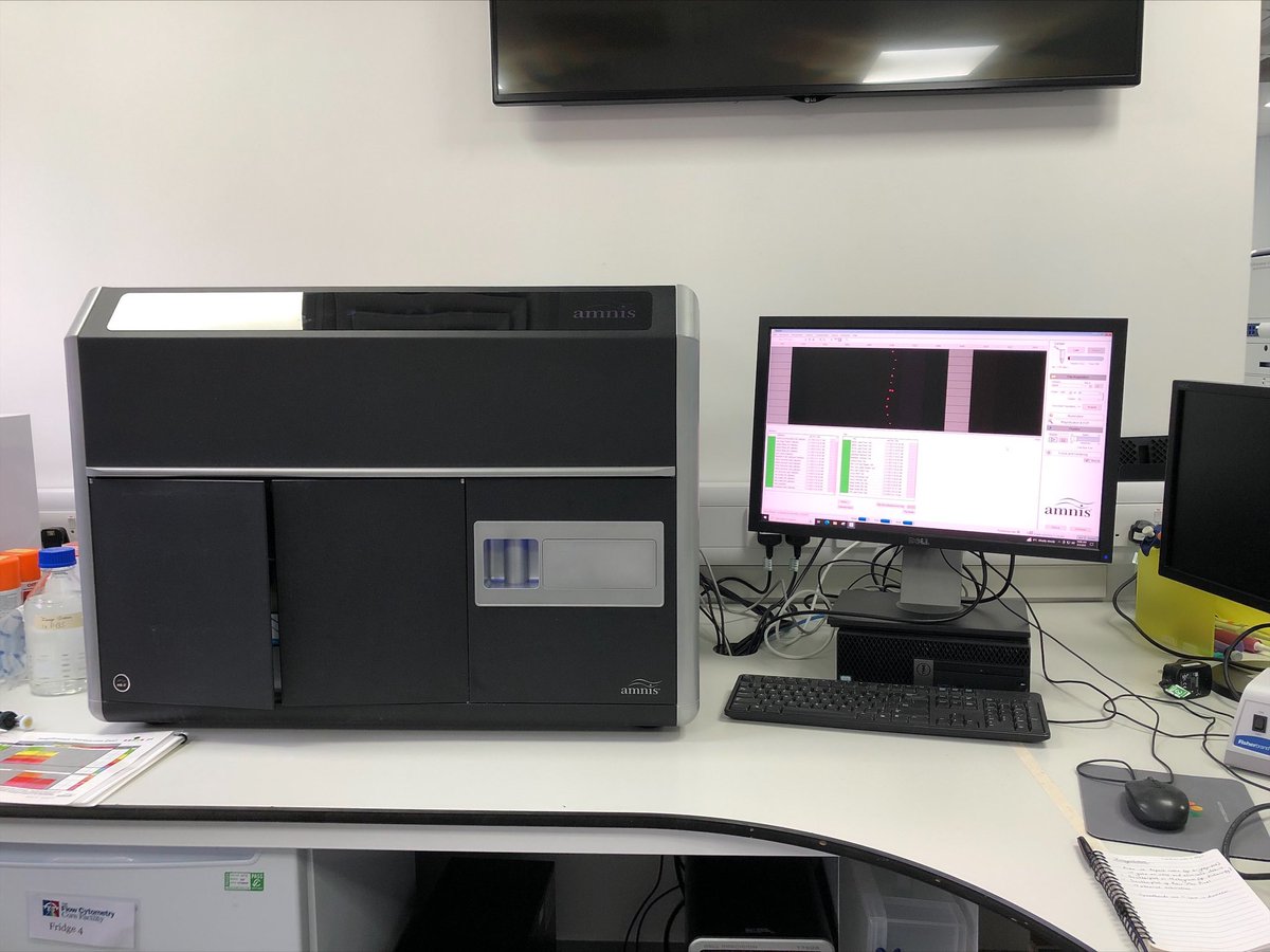 RECrossland's tweet image. Super excited for @pathsoc PhD student Kim Schell starting our #extracellularvesicle #imagestream optimisation today! Huge thanks to @NewcastleFCCF for supporting us with this project ☺️ @Luminex