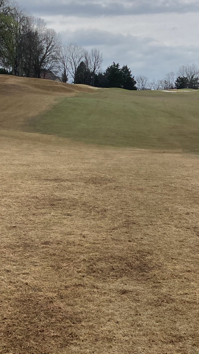 Tanasigolf's tweet image. Single tee starting on 1 at 9am. Hole location 1, cart path only. Lots of green grass showing up throughout the course. #4 Fwy that received fall color pak from @SimplotCompany @Wswick seems to be the leader in the clubhouse. Storms expected later today, be careful if outside.