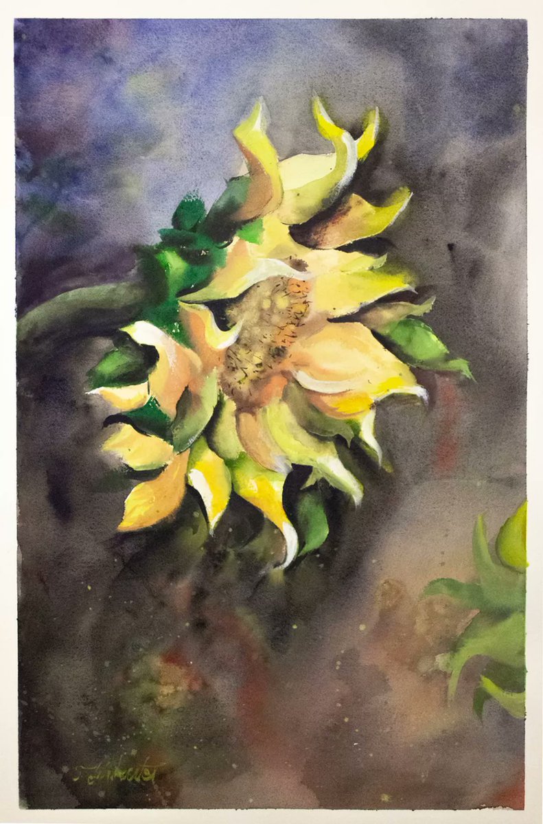 TMikutel's tweet photo. My new watercolour painting of a Sunflower 15`x22`, critics and comments welcome.

Materials: Saunders Waterford Paper 300 gsm NOT 
Paints: Professional Winsor and Newton

Available at: https://t.co/w6Sa748OW9

#sunflower #painting #flowers https://t.co/i9MZm5fMx0