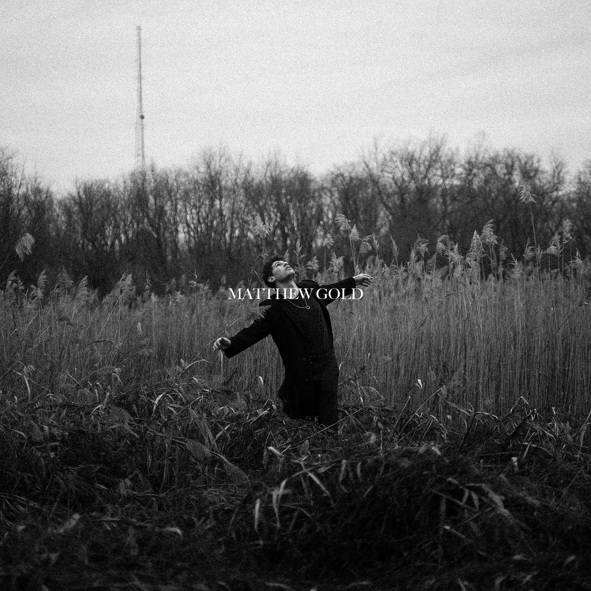 MatthewGold tweet media