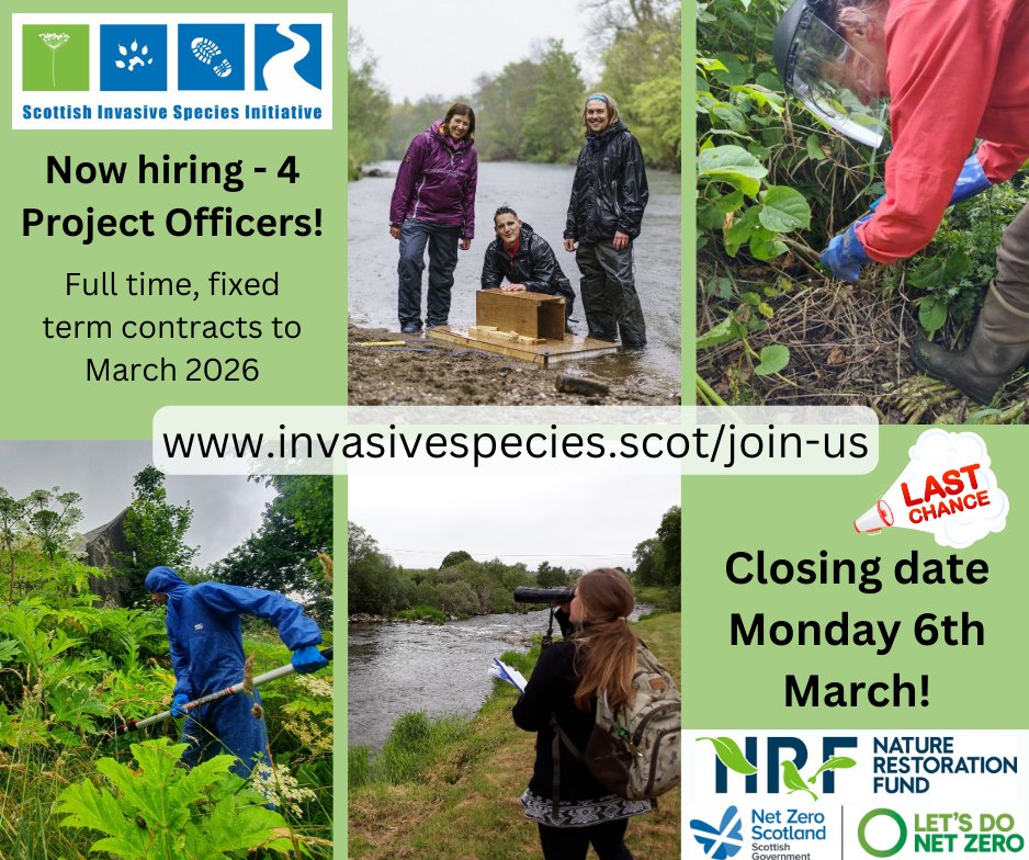 📢Final call - deadline for applications Monday! 📢
The <a href="/SISI_project/">Scottish Invasive Species Initiative</a> is expanding and extending - and we're looking for four Project Officers to join our team! These are full time, fixed term contracts to March 2026. Details and job descriptions: invasivespecies.scot/join-us 1/2