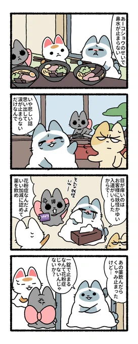 すけろく「認めたら負けだろ……」
#練物庵 