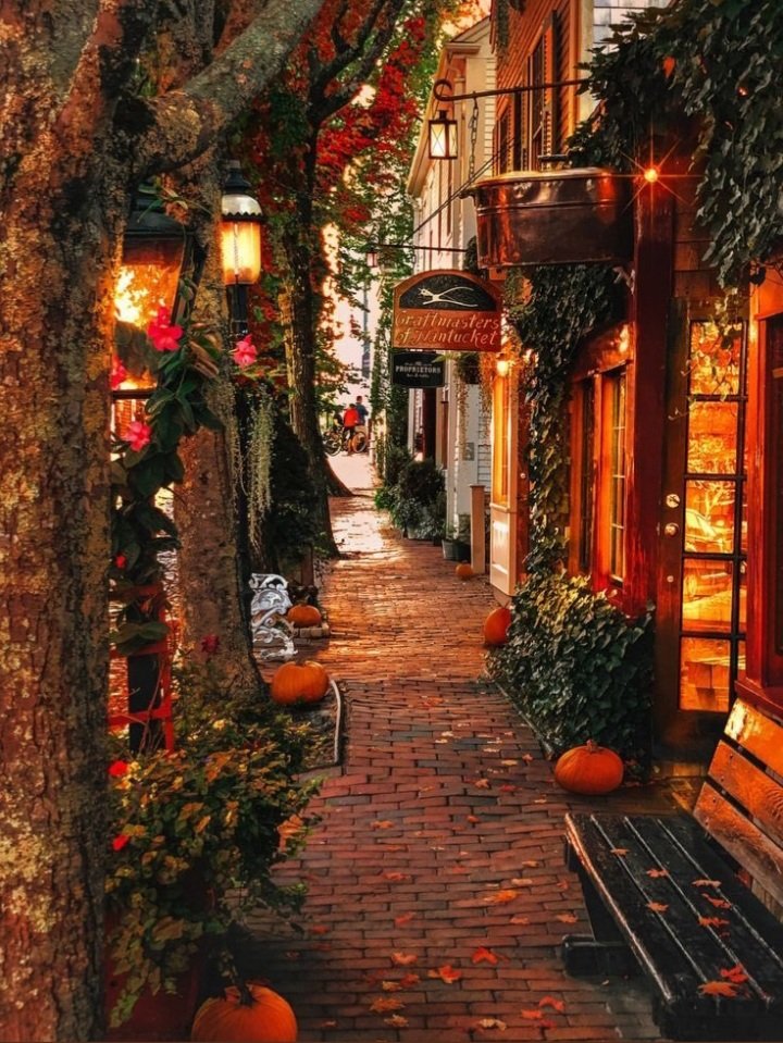 DarkGamerGirl6's tweet photo. Love this towns sidewalk in the Fall!!! #FallIsBeautiful #FfavoriteTimeOfYear https://t.co/IEg3yUfhDH