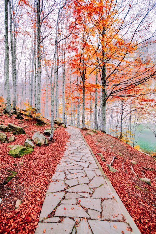 If you can relieve someone, don't delay.
#bestie92