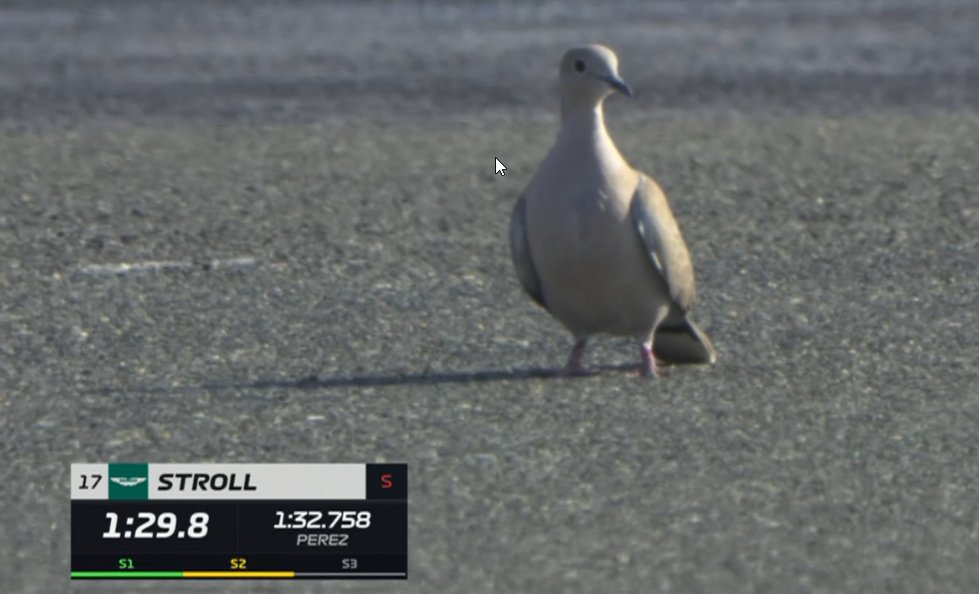 Out of Context F1 (@f1nocontext) on Twitter photo 