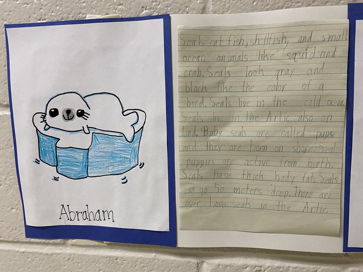 HuntingdonPS's tweet photo. Check out these research papers from some of our 2nd Graders!! 💙💛🧠🧐💭 @lmcartermd @jkee10 @CoachWilkins23 https://t.co/xUNv3Jelnu