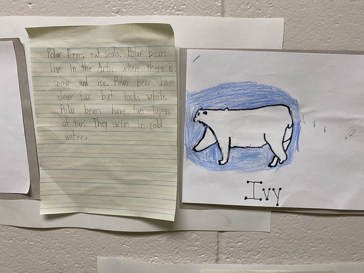 HuntingdonPS's tweet photo. Check out these research papers from some of our 2nd Graders!! 💙💛🧠🧐💭 @lmcartermd @jkee10 @CoachWilkins23 https://t.co/xUNv3Jelnu
