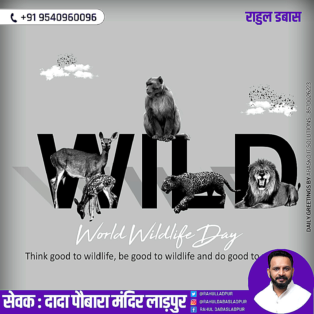 RahulLadpur's tweet photo. Warm wishes to everyone on World Wildlife Day. Let us all remember that we have a deep connection with Mother Earth and we need to protect it. Let's come together to save the wildlife and preserve the biodiversity of our planet. https://t.co/K7u1V3ogQs