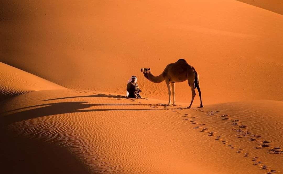 جس کے سینے  میں  اداسی کا رہٹ چلتا  ہو
اس کو خیرات کی دو بوند خوشی کیا بھائے 

حمیدہ شاہین