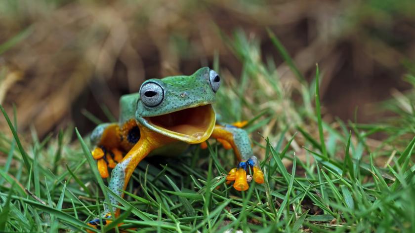vLearningSlns's tweet image. Making time for fun has been proven to boost our health and wellbeing. So how can #LnD bring laughter into the workplace and nurture a healthier culture?
@SharonCritchlow discusses how laughter in the classroom boosts employee wellbeing.
d36.co/1bBXm | @TrainingZone