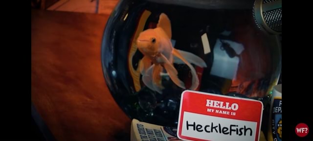 Prometheus2010's tweet image. Hecklefish for US President
#Hecklefish
#TheWhyFiles