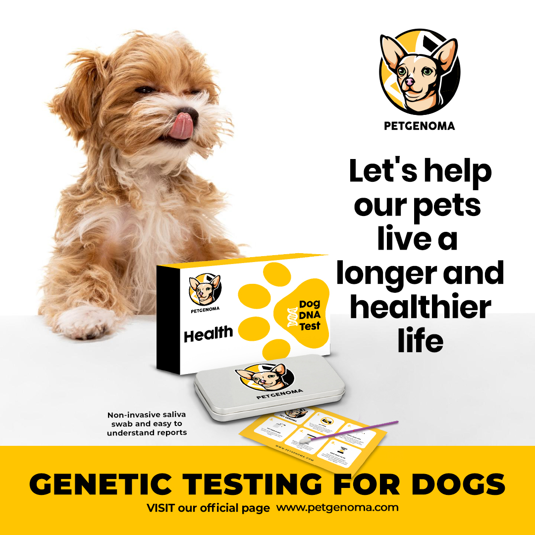 petgenoma's tweet photo. Our pets are an important part of our lives, and they depend on us to live their best lives. Make a difference today and help them live a longer and happier life. #PetGenoma #DogGenetics #HealthyDog ๐ถโค๏ธ๐จโ๐ฉโ๐งโ๐ฆ https://t.co/8lhbgrKRFf