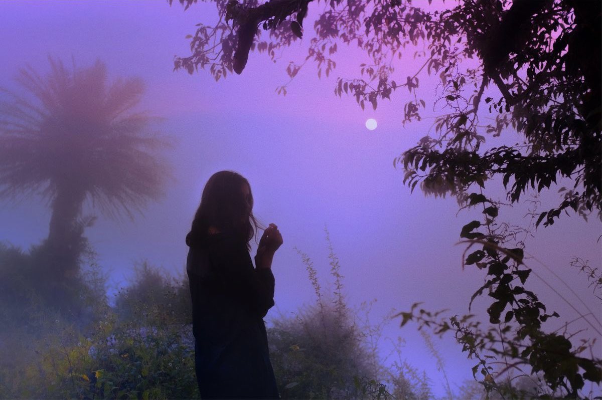 canvasoul_'s tweet image. alien observer