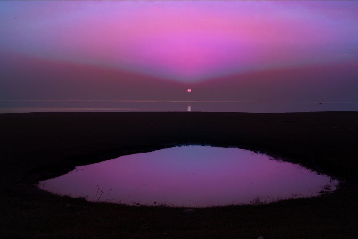 canvasoul_'s tweet image. alien observer