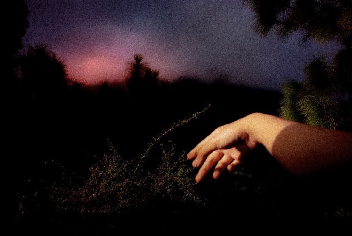 canvasoul_'s tweet image. alien observer