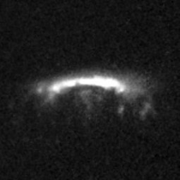 David O'Ryan tweet media