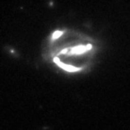 David O'Ryan tweet media