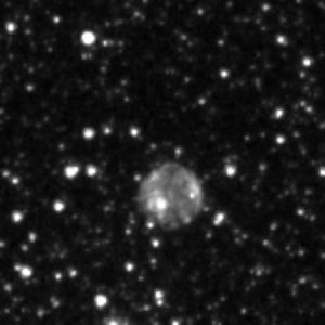 David O'Ryan tweet media