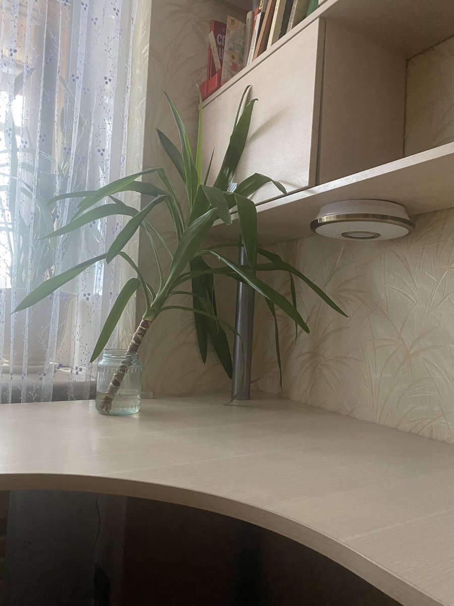 kartiseira tweet media