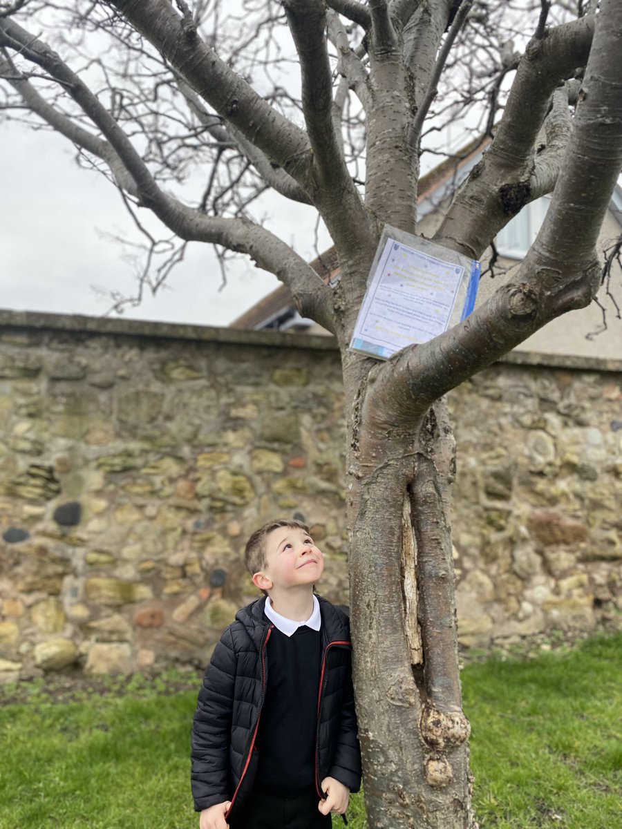 PrestonTowerPS's tweet photo. The reading fairies at Preston Tower Primary School have been busy hiding books across Prestonpans for you to discover. 
If you find a book please post a pic to our twitter page if you can and share on google classroom. 

Happy book hunting 🙂📕🧚🏻‍♀️ https://t.co/QkDsfq8h8Z