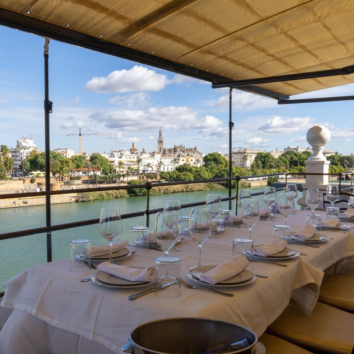 MariaTrifulca tweet media