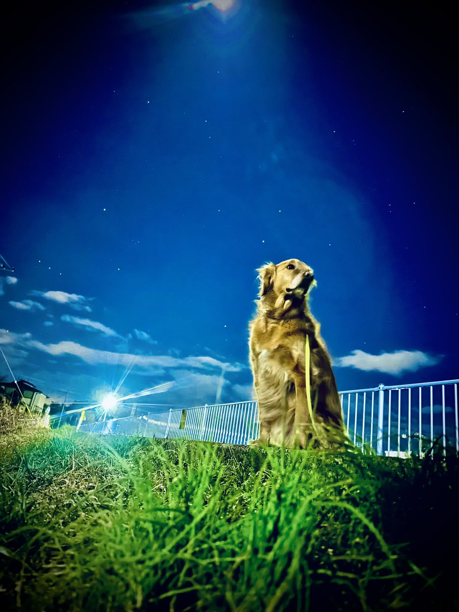 星空綺麗だなぁ🥺