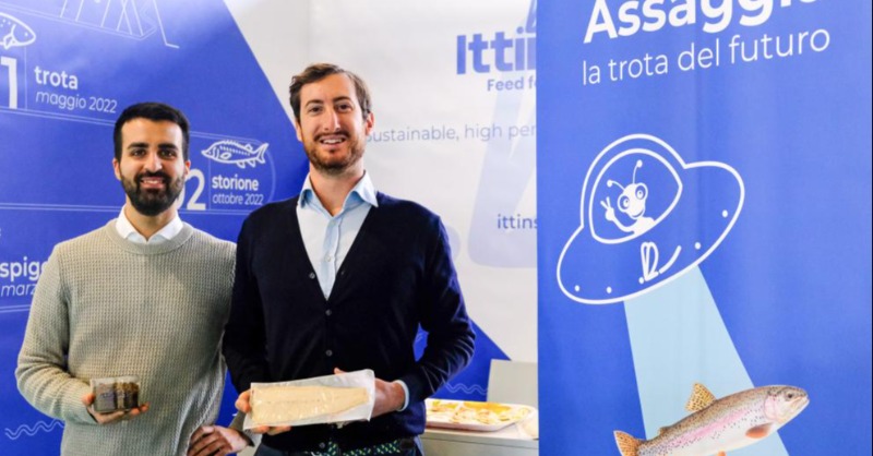 EU_MARE's tweet photo. Ittinsect is an 🇮🇹 start-up producing #aquaculture feed with novel raw ingredients, including insects, micro #algae &amp; agricultural by-products.

With the help of the EU #BlueInvest Readiness Assistance programme, it raised €750,000 to scale up the business.

@europainitalia