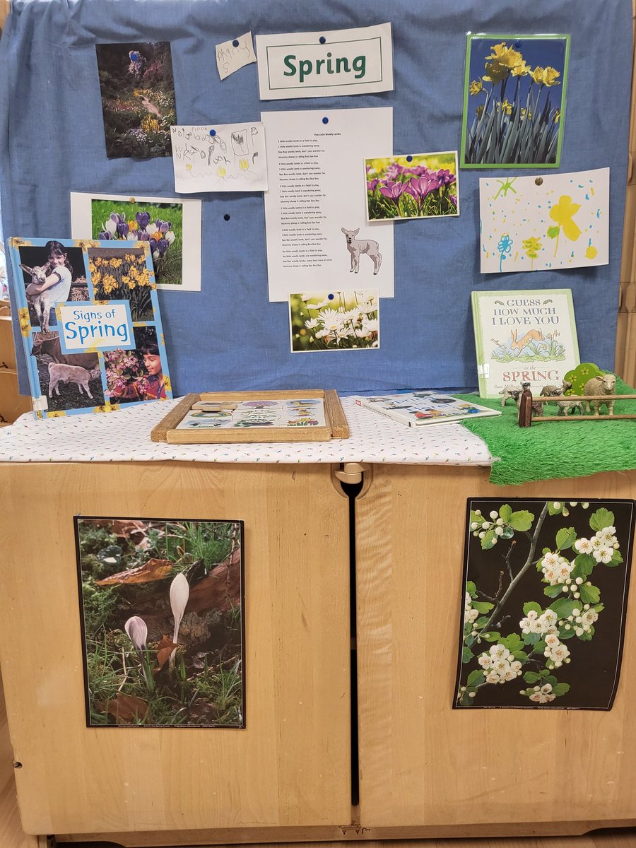 TynecastleS's tweet photo. Spring has arrived at Tynecastle!  The children have been sharing their knowledge about Spring on the seasonal plan and looking for signs of Spring in the environment 🌷🌻🪻 https://t.co/cDZc7pZqe8