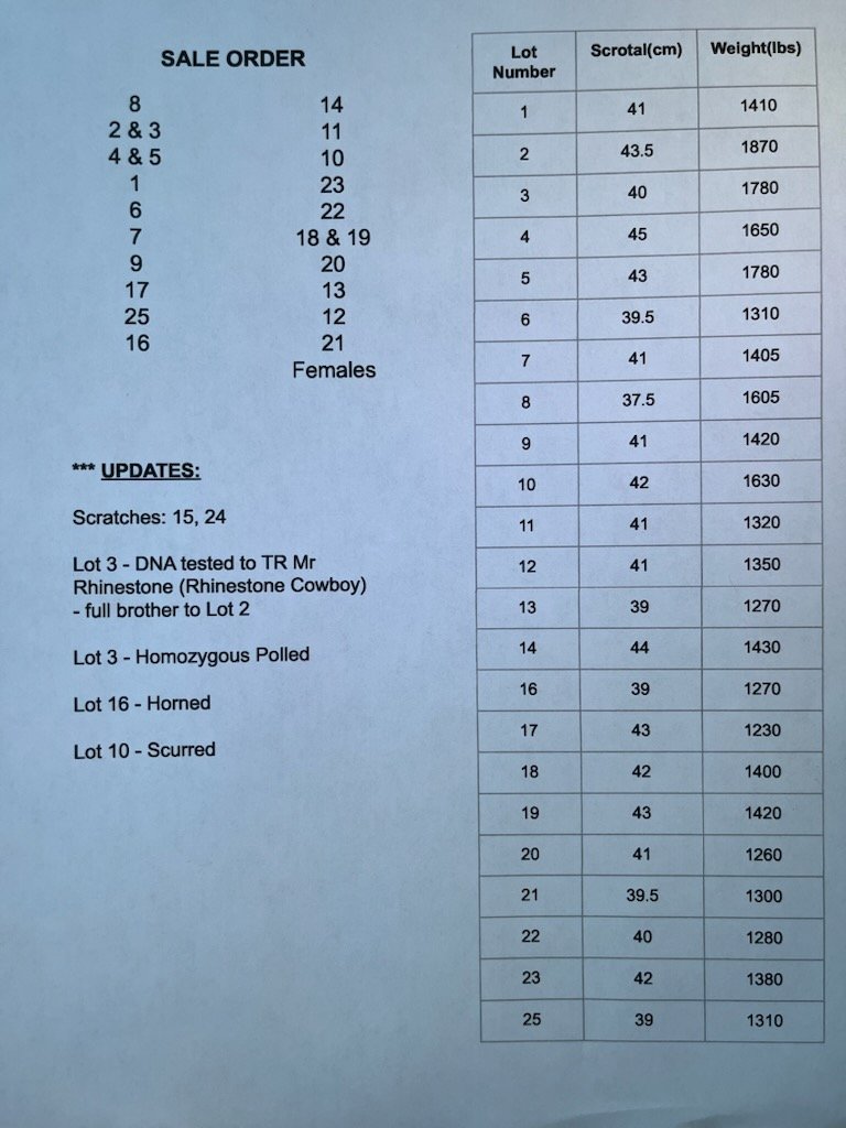 Sale starts at 4pm today! #dlms #dangcharolais #charolaisbulls