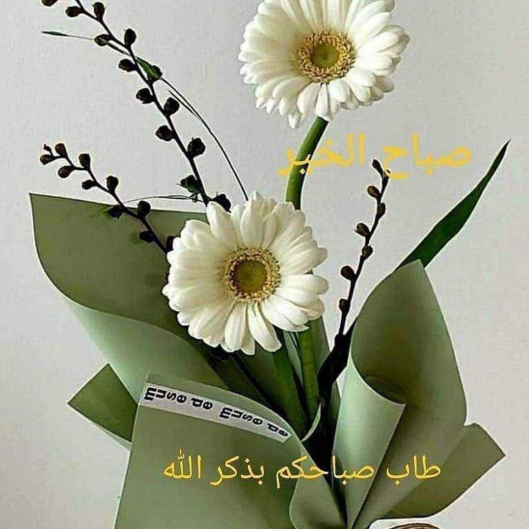 #صورة_ملف_شخصي_جديدة