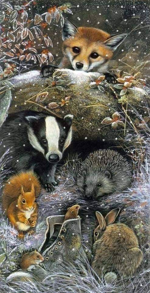 cktCCFCPUSB's tweet image. #WorldWildlifeDay 
#BanHuntingWithDogs
#SupportOurSabs
#ProtectOurWildlife