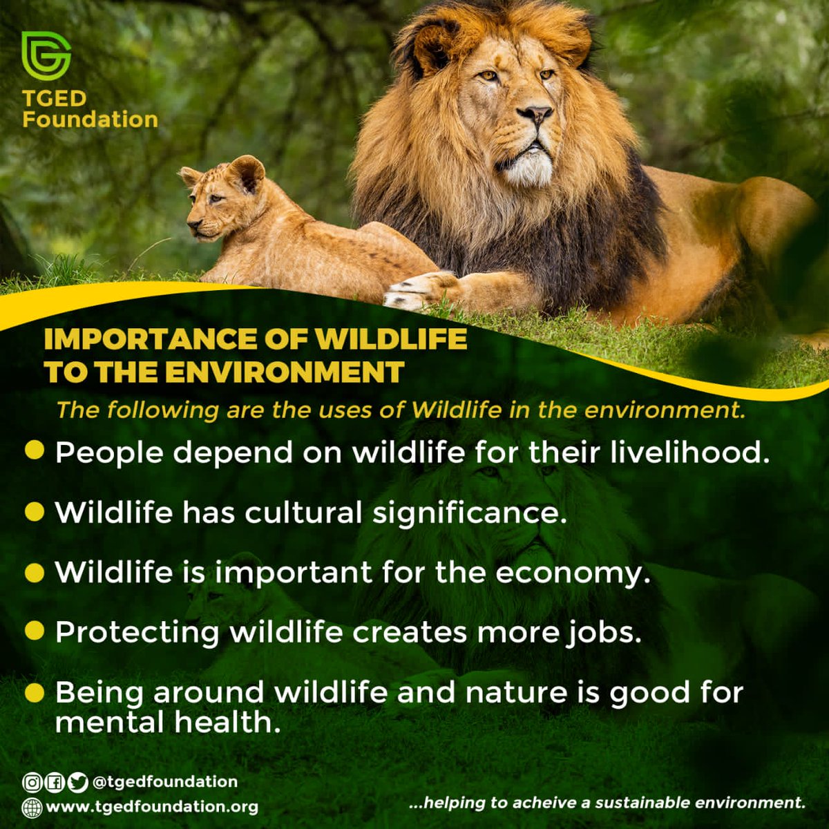 By conserving wildlife, we are ensuring that the future generations can enjoy our natural world and the incredible species that live within it.

#worldwildlifeday #endwildlifecrime #stoppoaching #worthmorealive #wildlifeconservation
#ecosystem