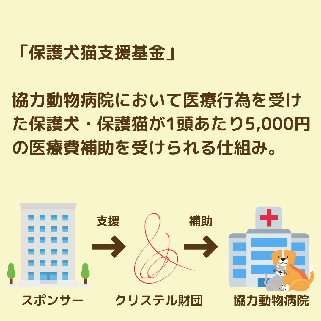 ChristelFNDTN's tweet photo. 【#保護犬猫支援基金　2月集計結果のご報告】

当財団では、2021年7月より「保護犬猫支援基金」の運営をスタートし、飼い主のいない犬猫の医療費補助を行っています。⁡⁡⁡
⁡⁡
2月1日～28日までに、医療費補助の申請のあった
#保護犬 #保護猫 の頭数は、57頭でした。⁡⁡

https://t.co/DYglgP4BV4 https://t.co/NJxqfwaLMh