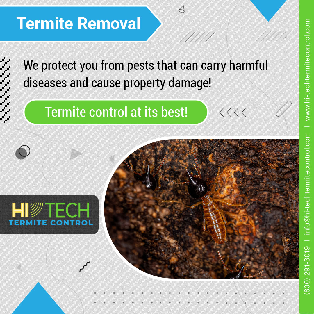 HiTechTermiteCA's tweet photo. What is pre-construction anti #termitetreatment?

Pre-construction anti #termite treatment is performed prior to the completion of the building.

Call (800) 291-3019 for pre-construction anti-termite treatment and Termite Removal.

#FumigationTermiteControl #TermiteInfestation https://t.co/UCSnRgLaHX