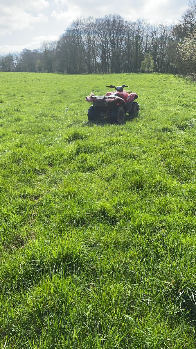 RonanHarrison6's tweet photo. The grass is always greener on the other side of the fence. Big difference between Ireland and Australia ☘️🇮🇪🇦🇺 https://t.co/urnczyCMRt