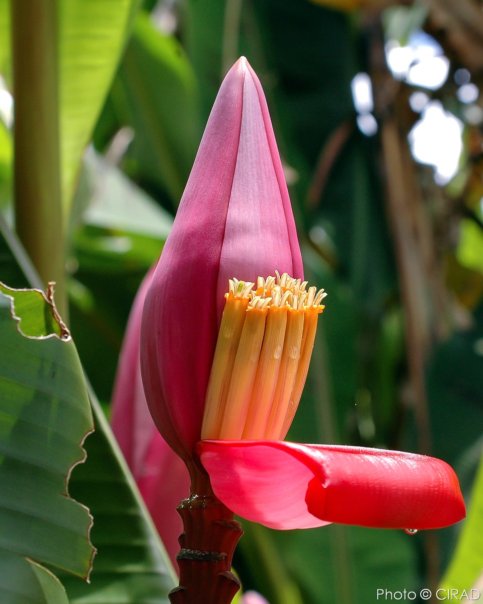 Christophe Jenny tweet media