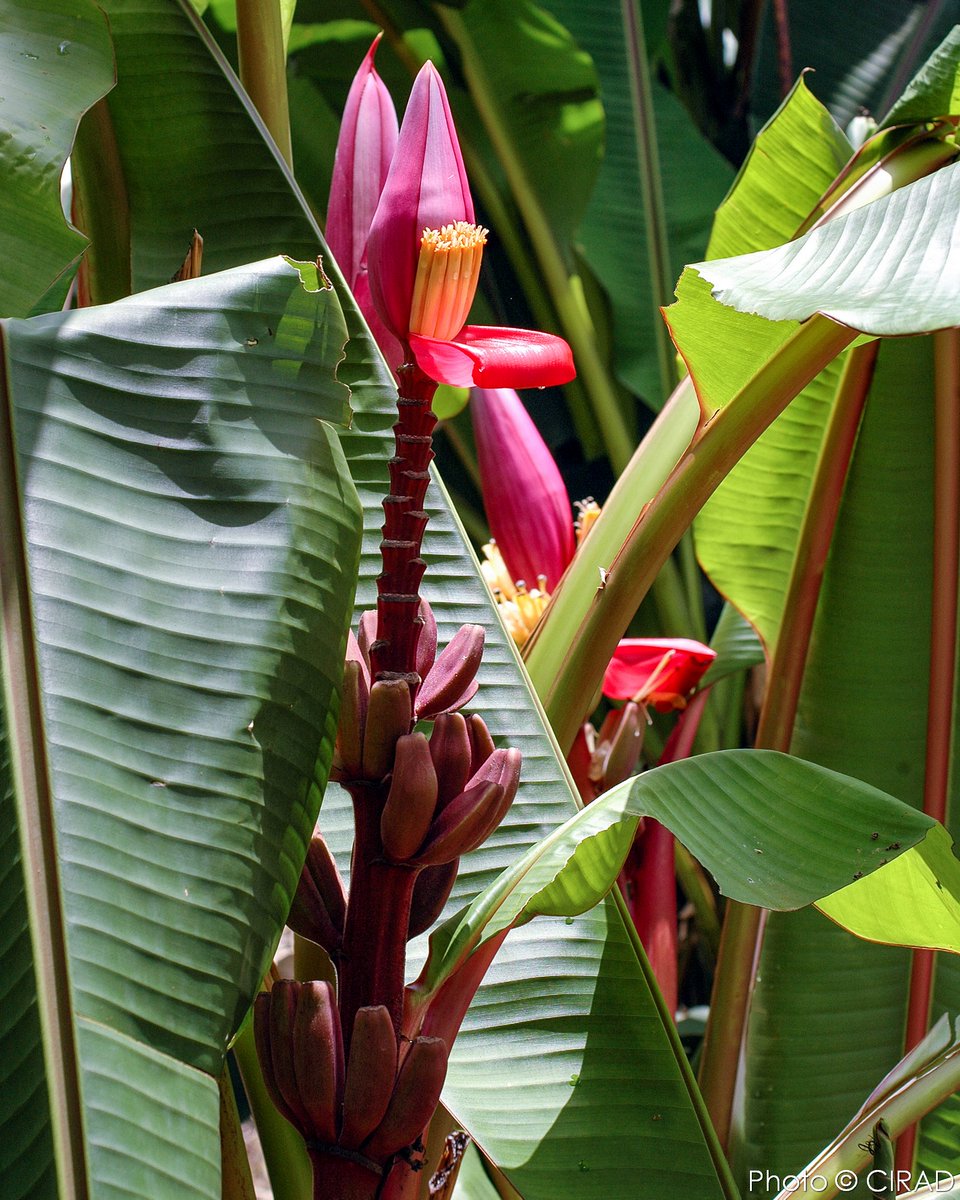 Christophe Jenny tweet media