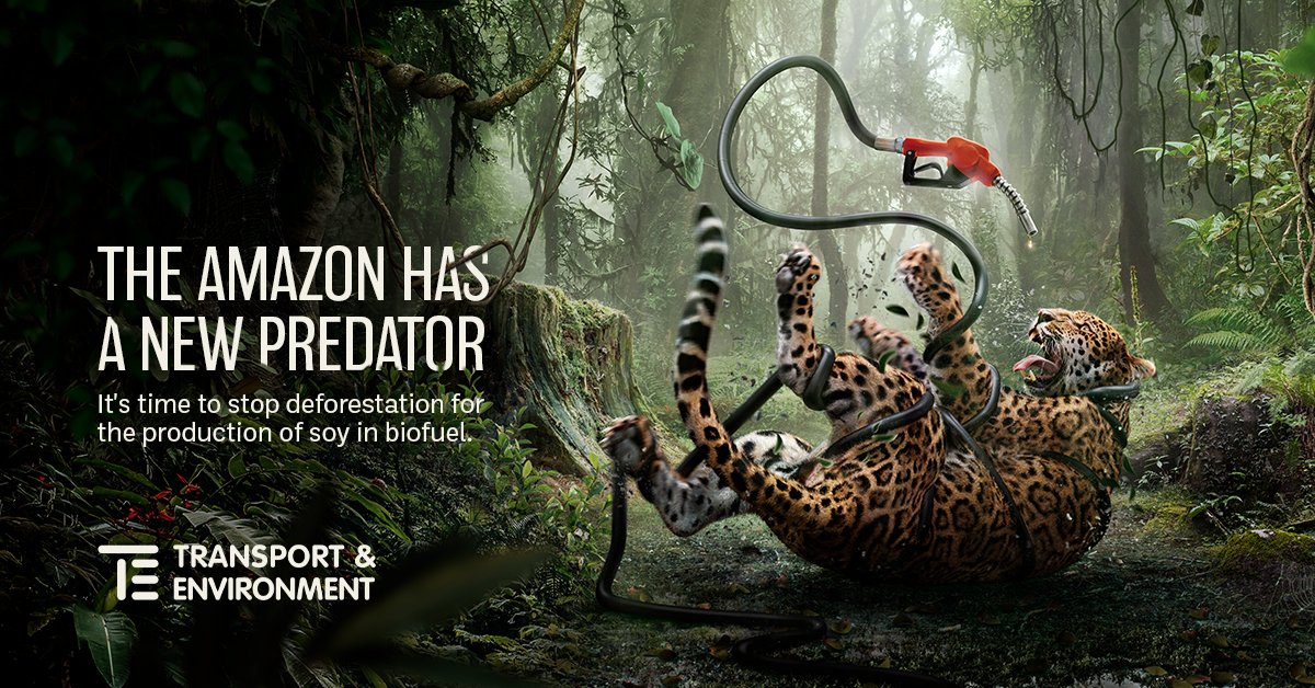 EU member states must side with <a href="/Europarl_EN/">European Parliament</a> &amp; put a rapid end to palm and soy in #biofuels.

Trade agreements like the #Mercosur deal or #WTO concerns must not compromise on ending deforestation.

transportenvironment.org/discover/how-s…