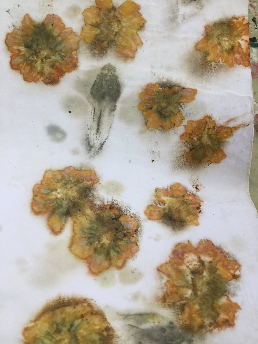 PipersArts's tweet image. Mrs Ramsay has been taking Year 12 Textiles students for Eco printing and Natural Dyeing workshops for the past two weeks. They have really enjoyed learning these new techniques. #PipersSixthform