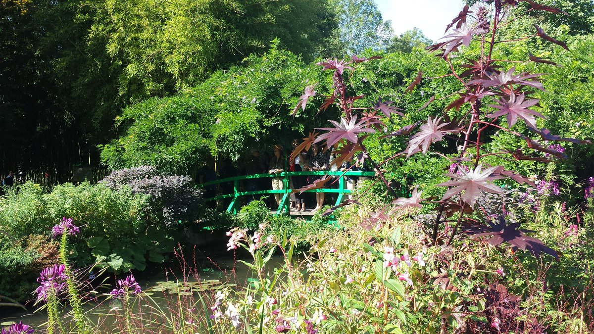 truemmerfeld's tweet photo. @VisualsbySauter @JanniLori #Monets Garden in Giverny. https://t.co/ciRi4DIHDI