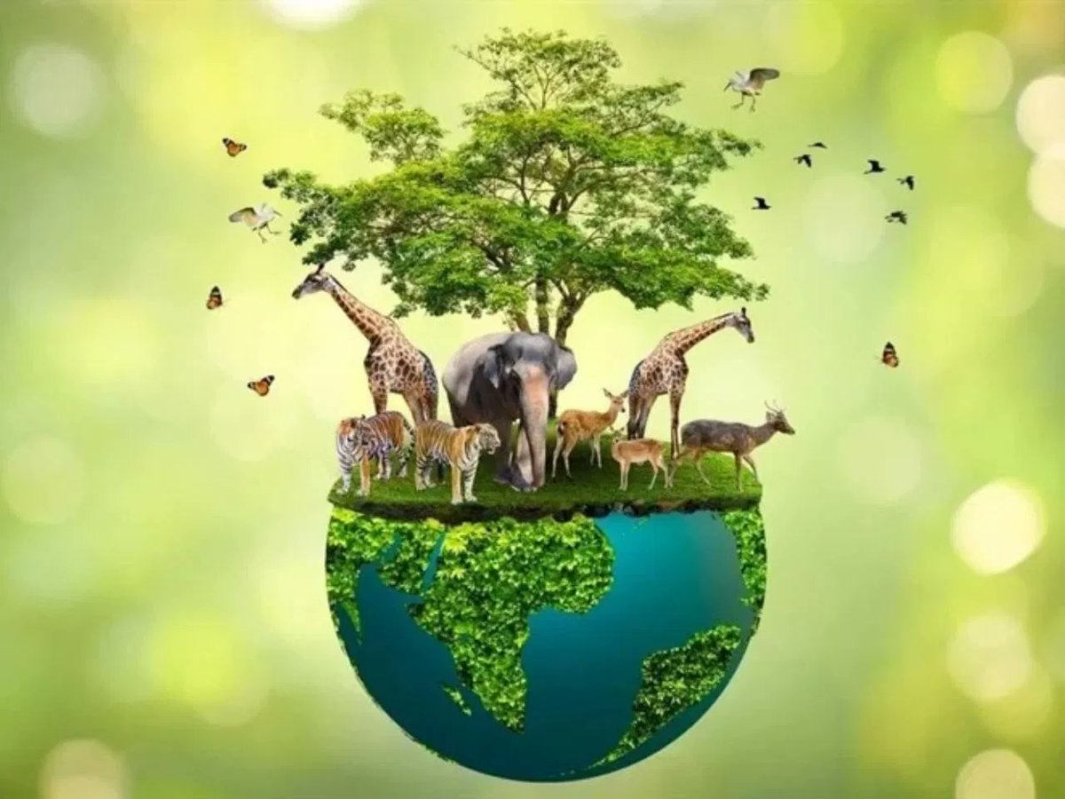 JimjamSafaris's tweet photo. Happy World Wildlife day 🦍🦓🦣🦏
A day to celebrate all the world's wild animals, and plants and the contribution that they make to our lives and the health of the planet.
#wildlife #Wildlifeday #WildlifeConservation #Africa #JimJamSafaris #Safaris #Tours2Go #Tours #tavelnews https://t.co/wq6dBFeCMd